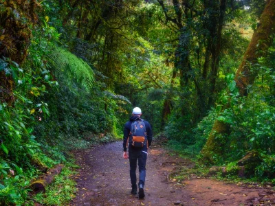 Mand går på sti i Monteverde i Costa Rica