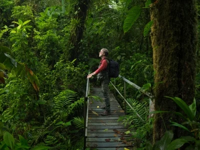 Mand står på en bro i den Costa Ricanske jungle