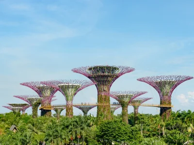 Gardens by the bay i Singapore