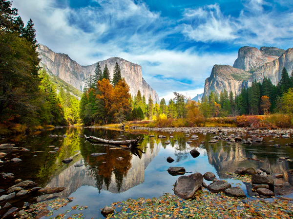 El Capitan og Merced River i Yosemite Nationalpark dækket af efterårsfarver