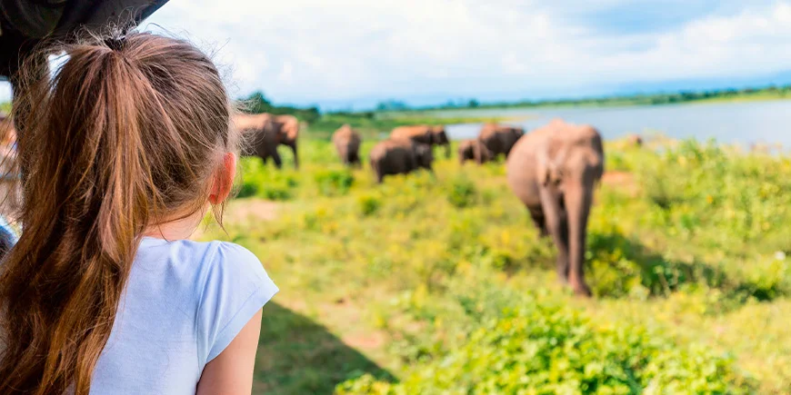 Pige på safari i Udawalawe