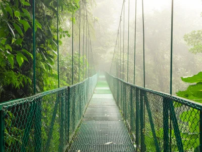 Hængebro i Monteverde