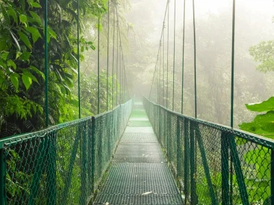 Hængebro i Monteverde