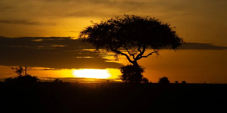 Solopgang over Serengeti i Tanzania