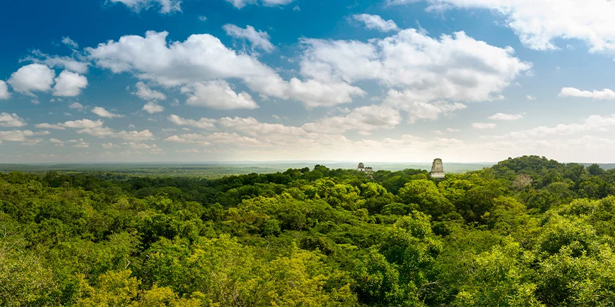 Overblik over Tikal Nationalpark med ruiner og regnskov