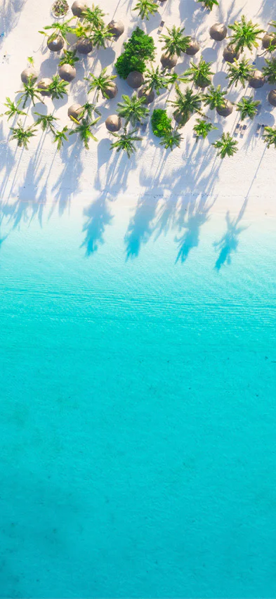 Strand på Zanzibar set fra drone