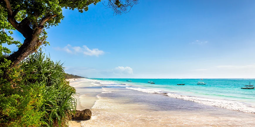 Smukke Diani Beach på Kenya-kysten