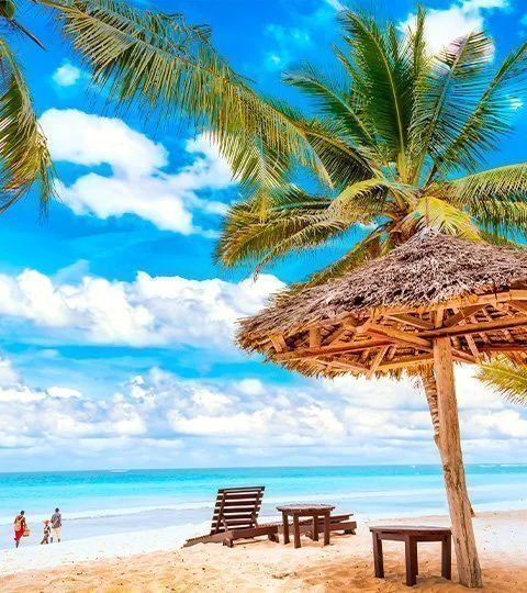 Tropisk strand i Mombasa med palmer og turkisblåt hav