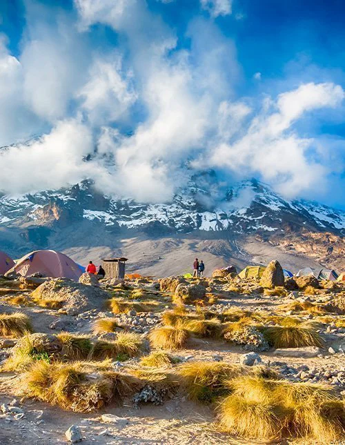Telte ved basecamp med Kilimanjaros sneklædte top i baggrunden.